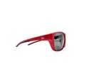Lentes de Sol Radical Dolphin C3 