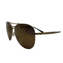 Lentes de Sol Revo RE116902