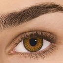 FRESHLOOK COLORBLENDS NEUTRO