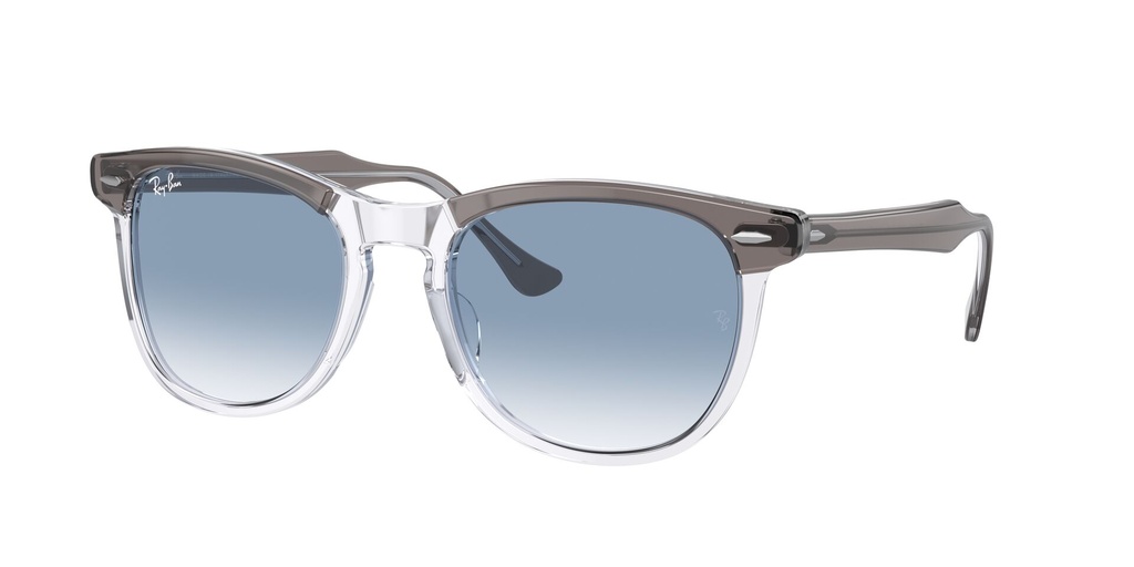 Lentes de Sol Ray Ban RB239813553FC53