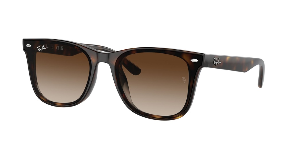Lentes de Sol Ray Ban RB442071013