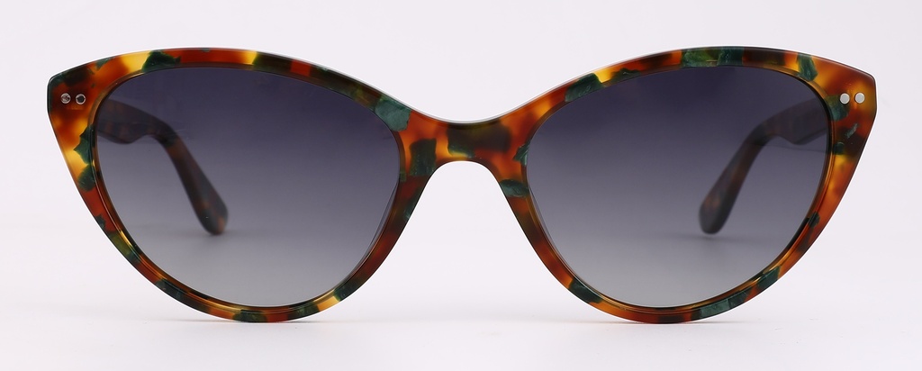 Lentes de Sol Loup LPS2099 C3