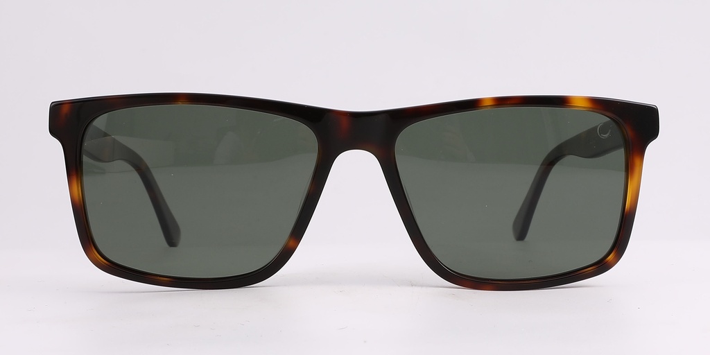 Lentes de Sol Loup LPS2102 C1