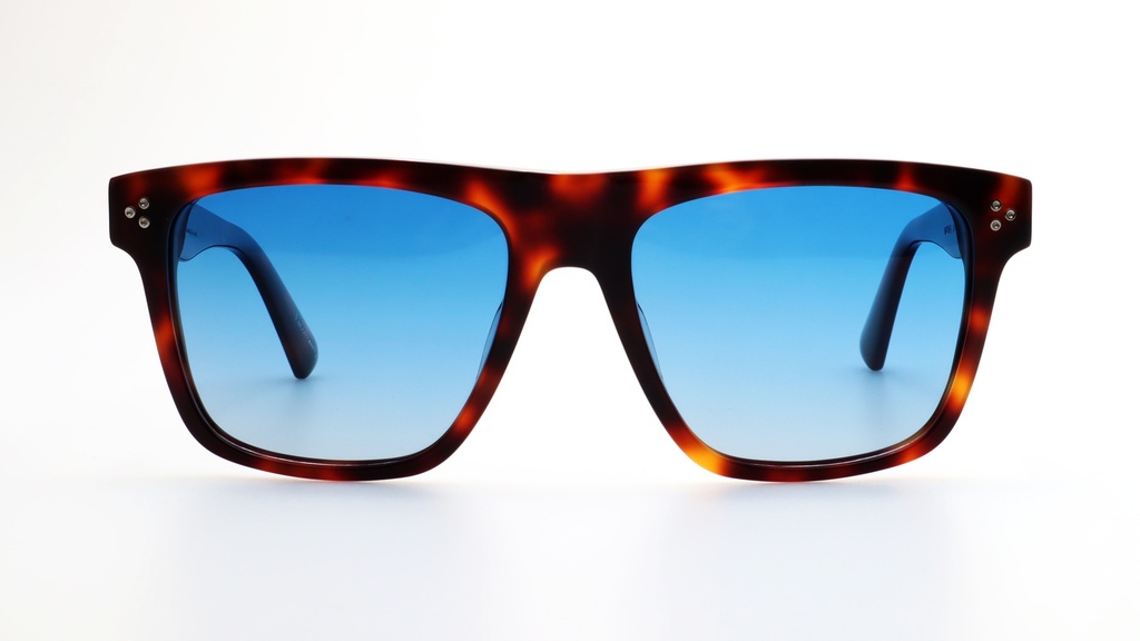 Lentes de Sol Lenso Panorama LO500C2