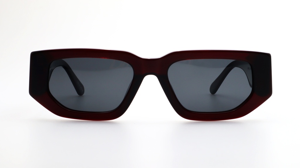 Lentes de Sol Lenso Panorama LO503C3