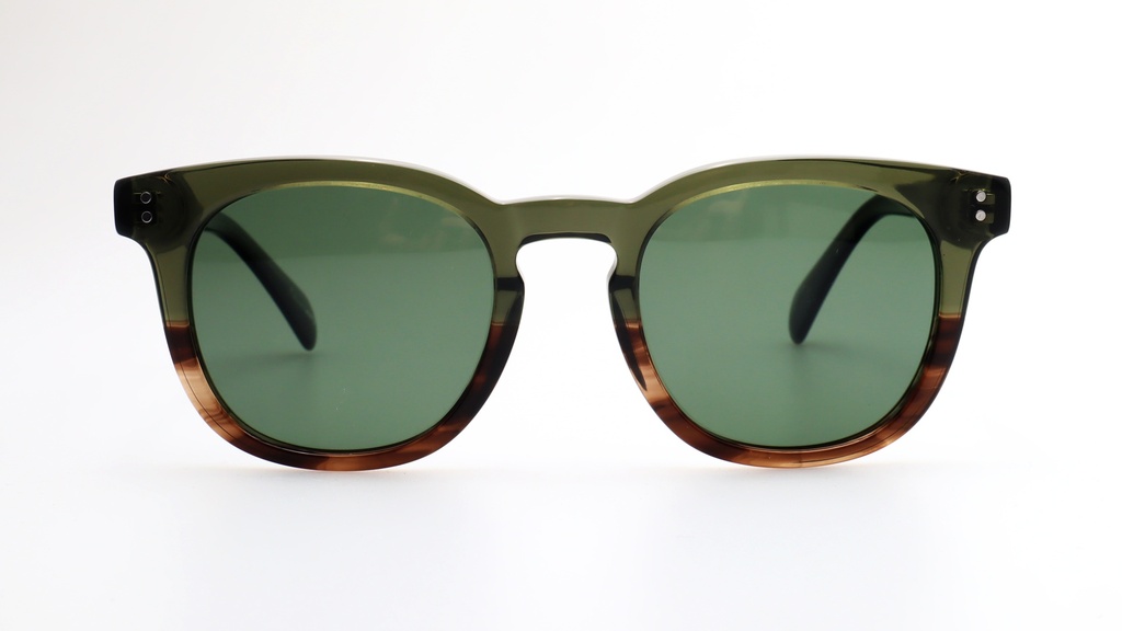 Lentes de Sol Lenso Panorama LO508C1