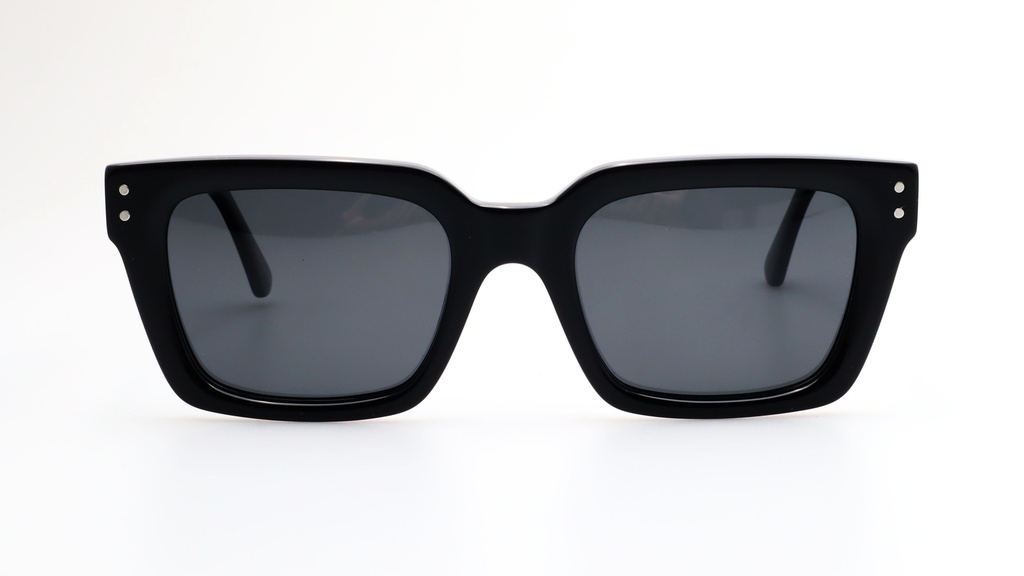 Lentes de Sol Lenso Panorama LO511C1