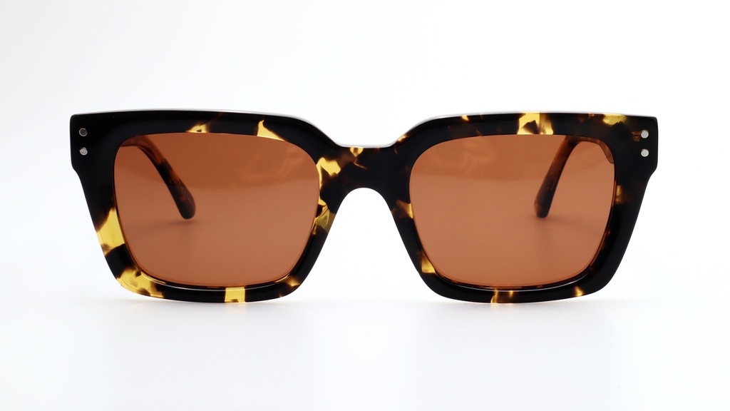 Lentes de Sol Lenso Panorama LO511C2