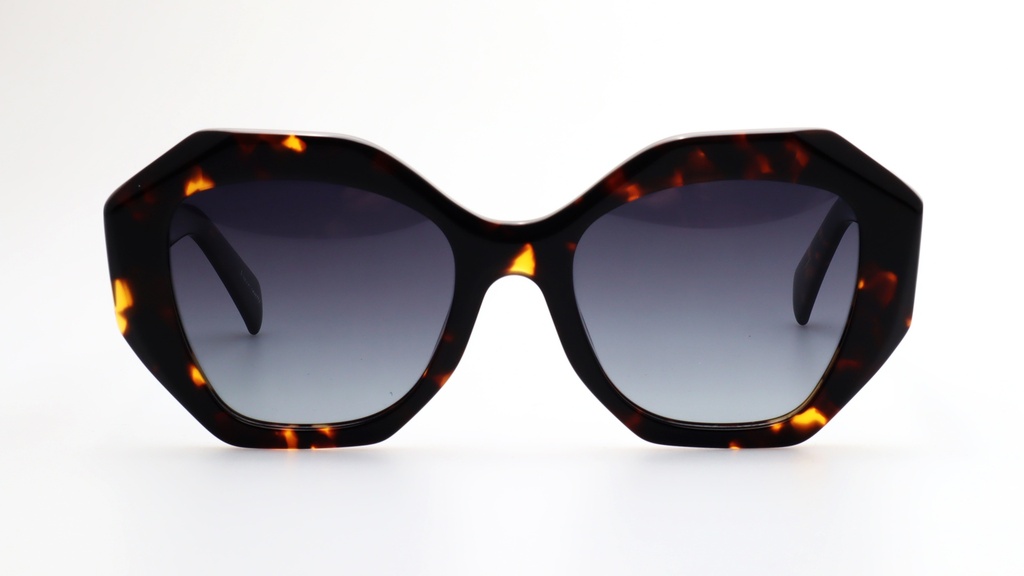 Lentes de Sol Lenso Panorama LO513C2