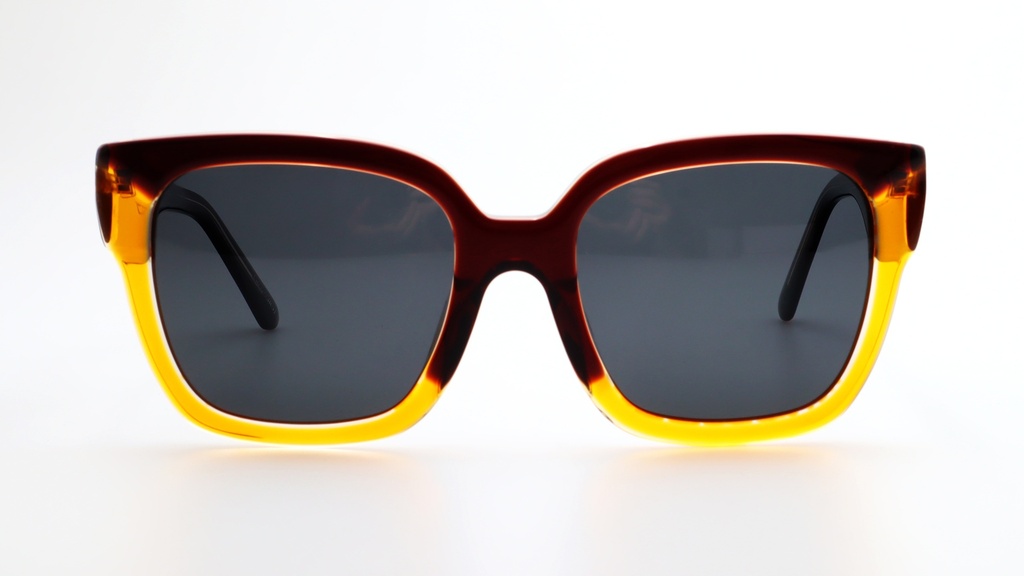 Lentes de Sol Lenso Panorama LO516C2