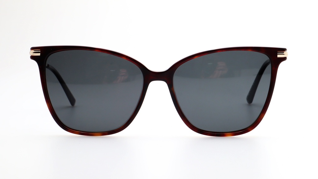 Lentes de Sol Lenso Panorama LO521C1