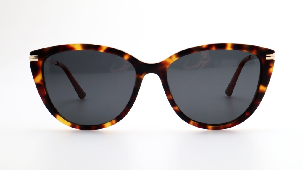 Lentes de Sol Lenso Panorama LO522C3