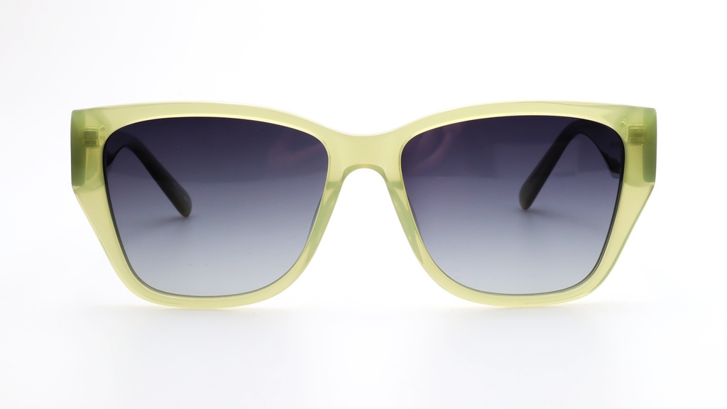 Lentes de Sol Lenso Panorama LO524C1