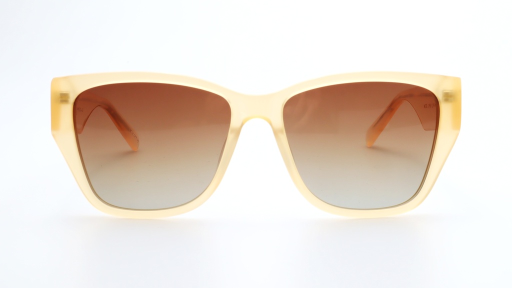 Lentes de Sol Lenso Panorama LO524C2