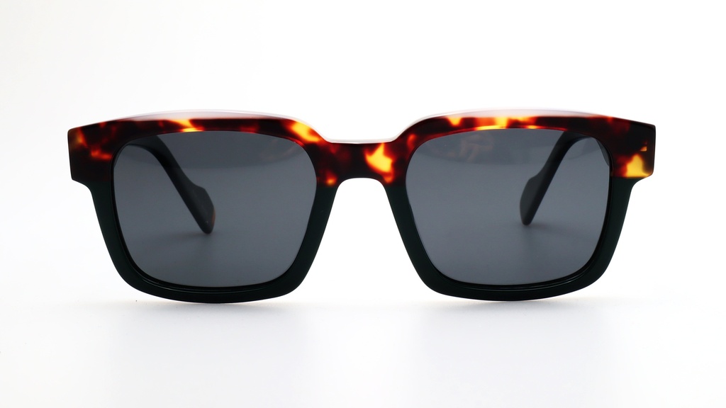 Lentes de Sol Lenso Panorama LO526C2