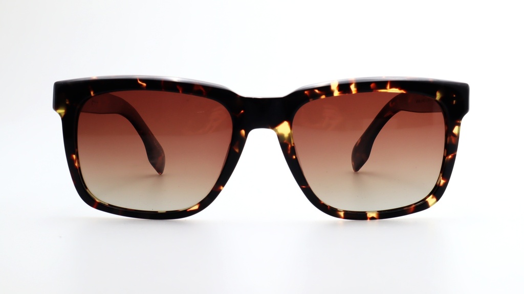 Lentes de Sol Lenso Panorama LO527C2