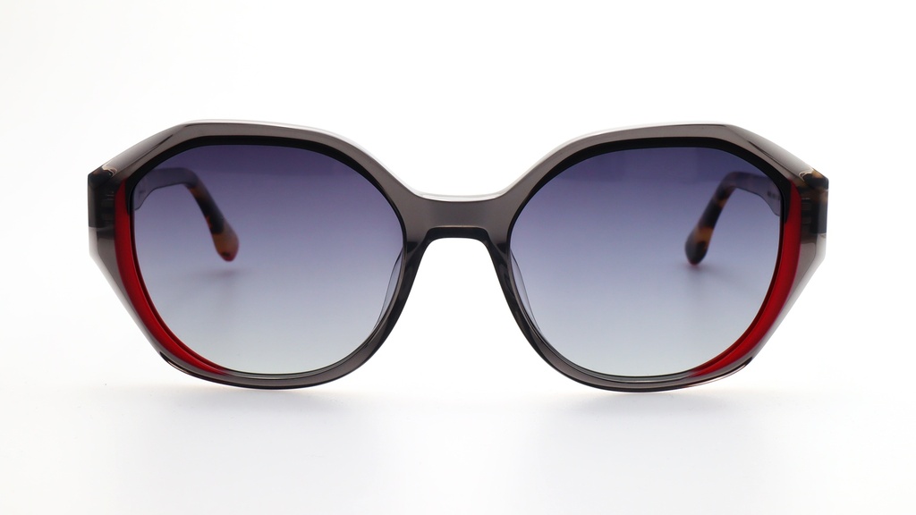 Lentes de Sol Lenso Panorama LO528C1