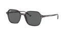Lentes de Sol Ray Ban RB21941314B1