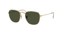 Lentes de Sol Ray Ban RB3857919631