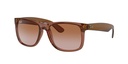 Lentes de Sol Ray Ban RB4165659413