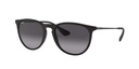 Lentes de Sol Ray Ban RB41716228G
