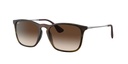 Lentes de Sol Ray Ban RB418785613