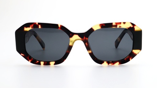 [LO504C3] Lentes de Sol Lenso Panorama LO504C3