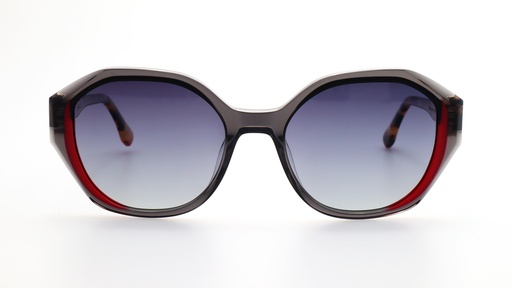 [LO528C1] Lentes de Sol Lenso Panorama LO528C1