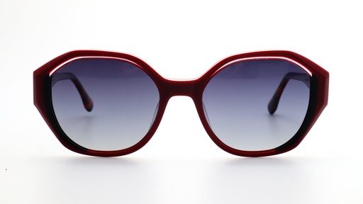 [LO528C2] Lentes de Sol Lenso Panorama LO528C2