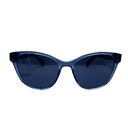 Lentes de Sol Levis