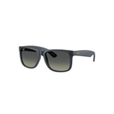 Lentes de Sol Ray Ban 4165 681311 c55