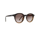 Lentes de Sol Loup LPS1304C4 1