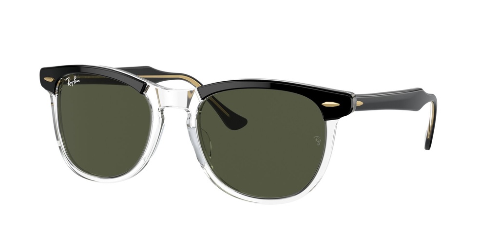 Lentes de Sol Ray Ban RB2398129431C53
