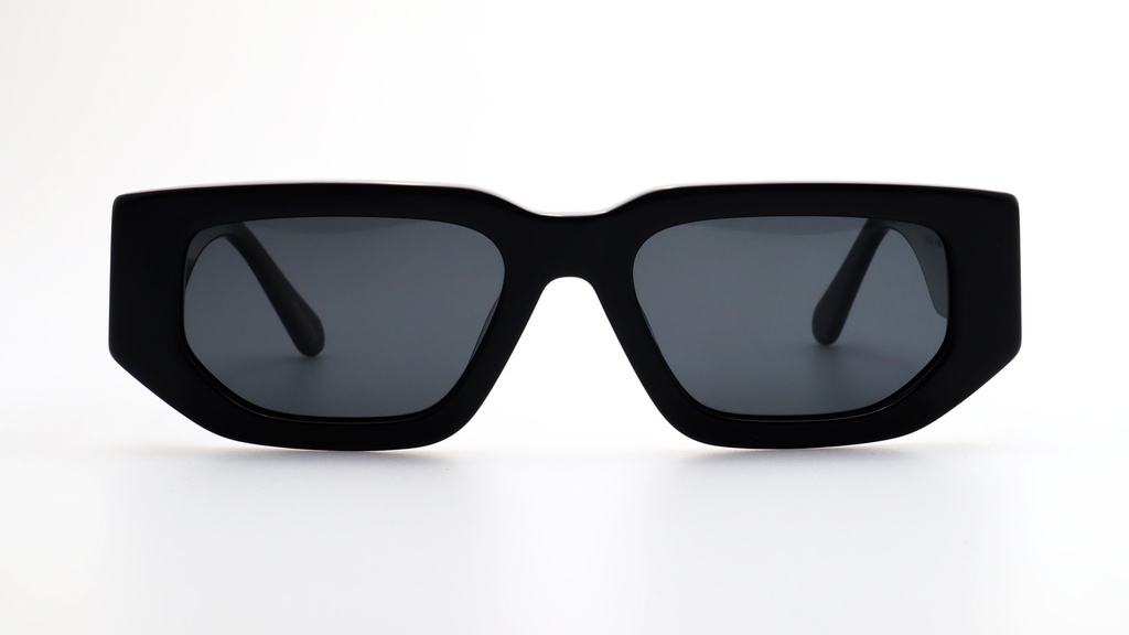 Lentes de Sol Lenso Panorama LO503C1