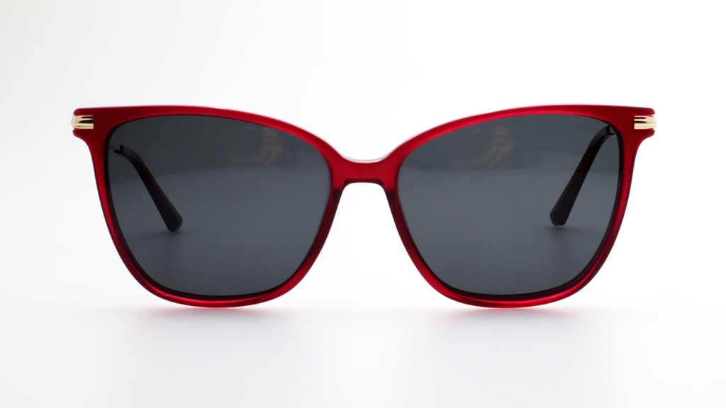 Lentes de Sol Lenso Panorama LO521C2