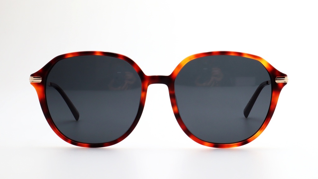 Lentes de Sol Lenso Panorama LO523C2