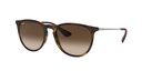 Lentes de Sol Ray Ban RB417186513