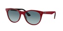 Lentes de Sol Ray Ban RB218512963M