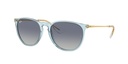 Lentes de Sol Ray Ban RB417167434L