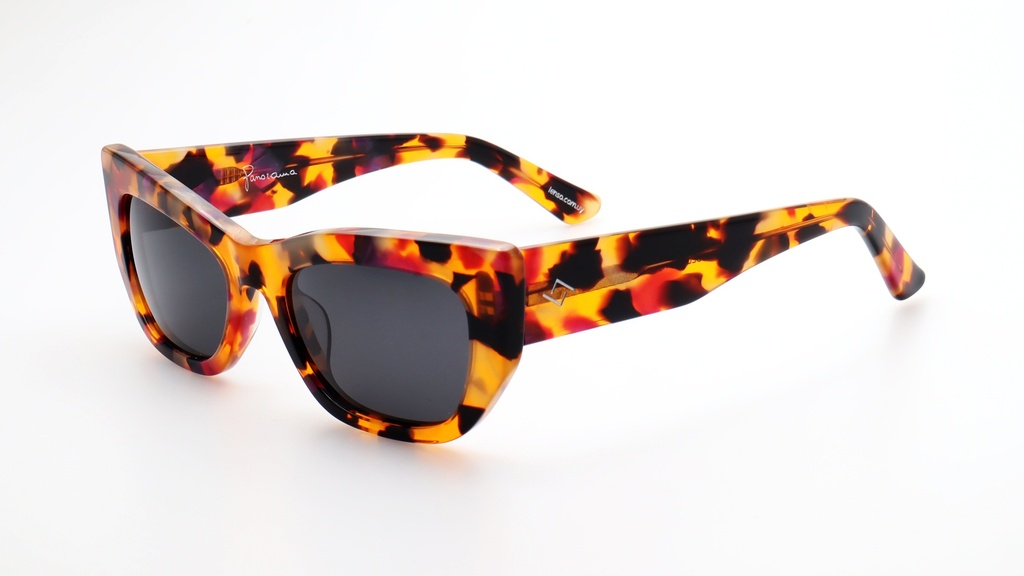 Lentes de Sol Lenso