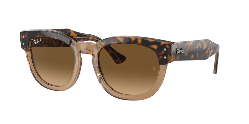 Lentes de Sol Ray Ban