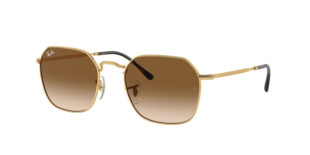 Lentes de Sol Ray Ban