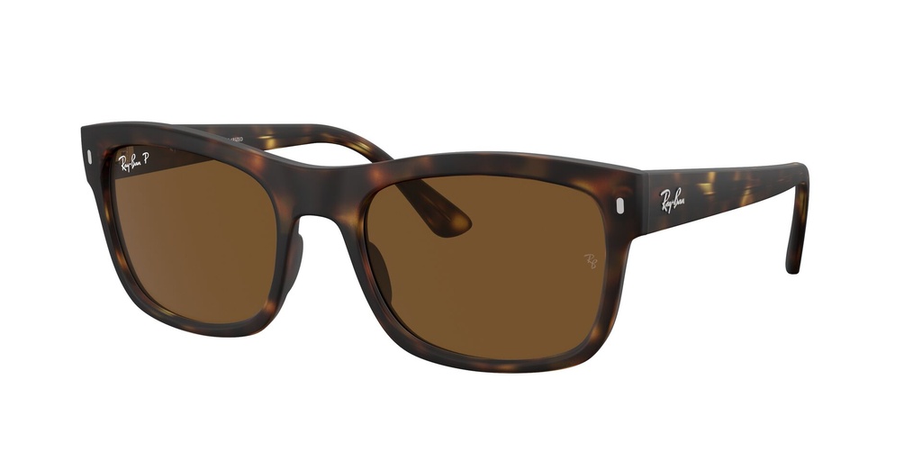 Lentes de Sol Ray Ban