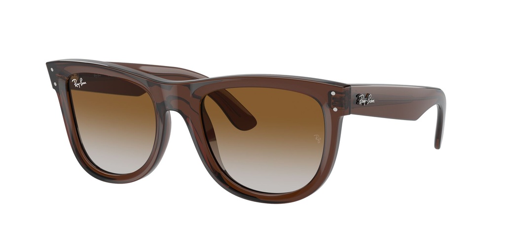 Lentes de Sol Ray Ban RBR0502S6709CB