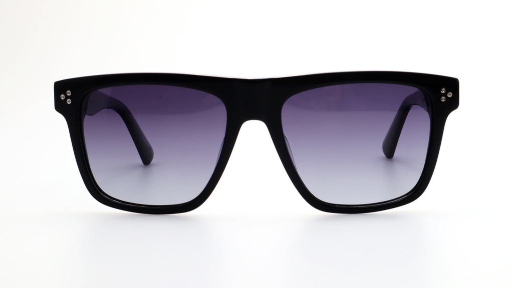 Lentes de Sol Lenso Panorama LO500C1