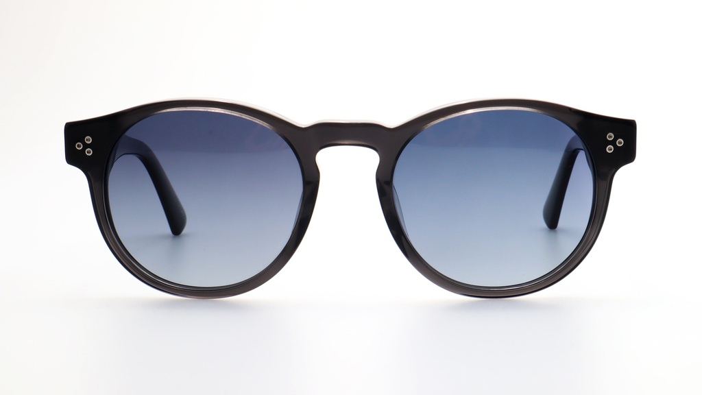 Lentes de Sol Lenso Panorama LO501C3