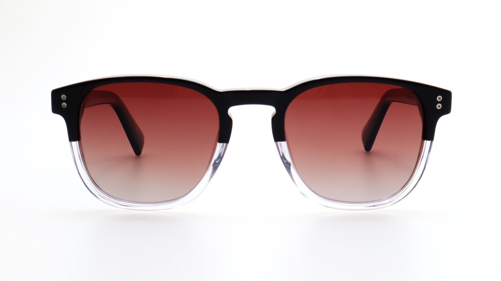 Lentes de Sol Lenso Panorama LO502C2