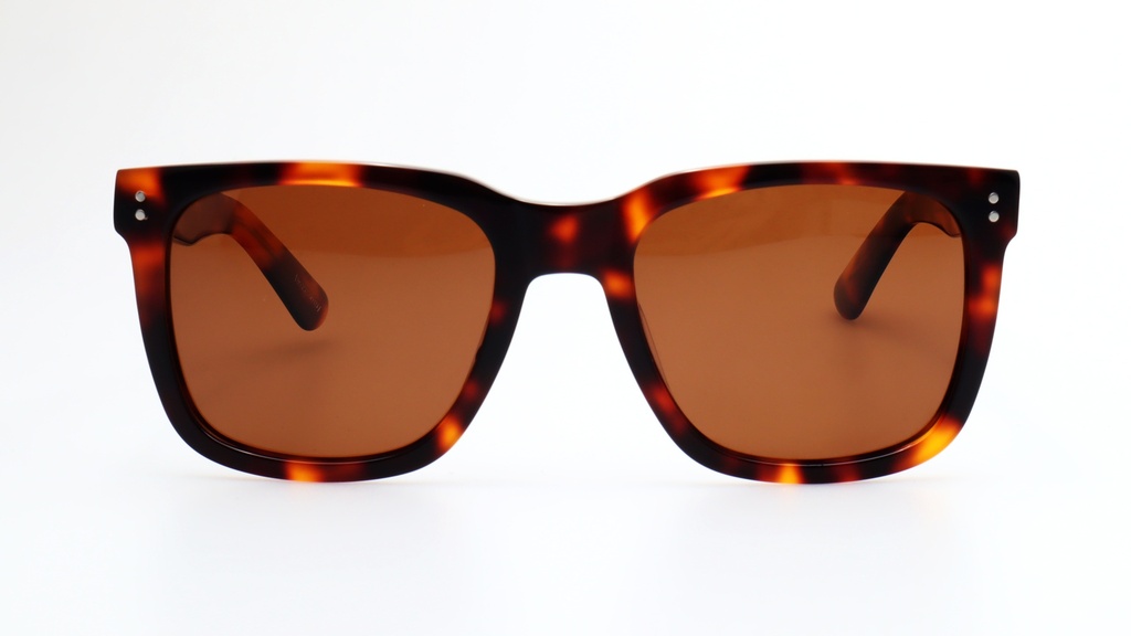 Lentes de Sol Lenso Panorama LO507C2