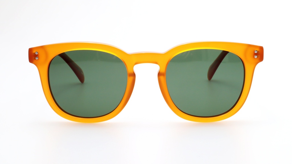 Lentes de Sol Lenso Panorama LO508C3