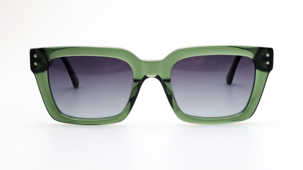 Lentes de Sol Lenso Panorama LO511C3